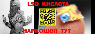 шишки Нарткала