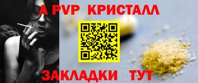 стаф Моздок