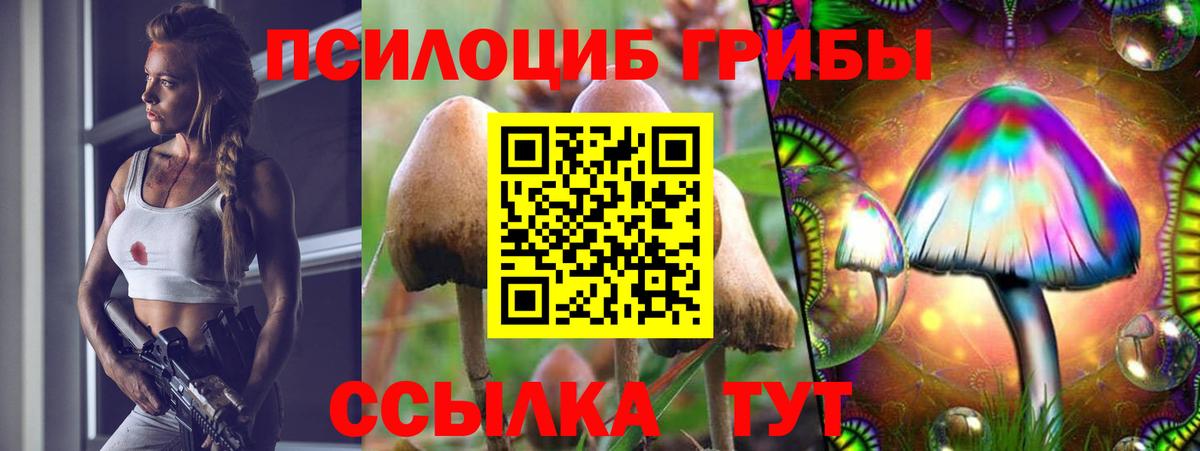 Тихвин  Галлюциногенные грибы мицелий  где найти наркотики  Вход с VPN  Галлюциногенные грибы прущие грибы 